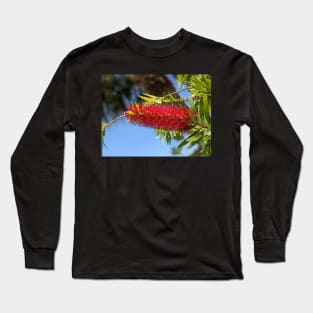 Red Cone Flower 3 Long Sleeve T-Shirt